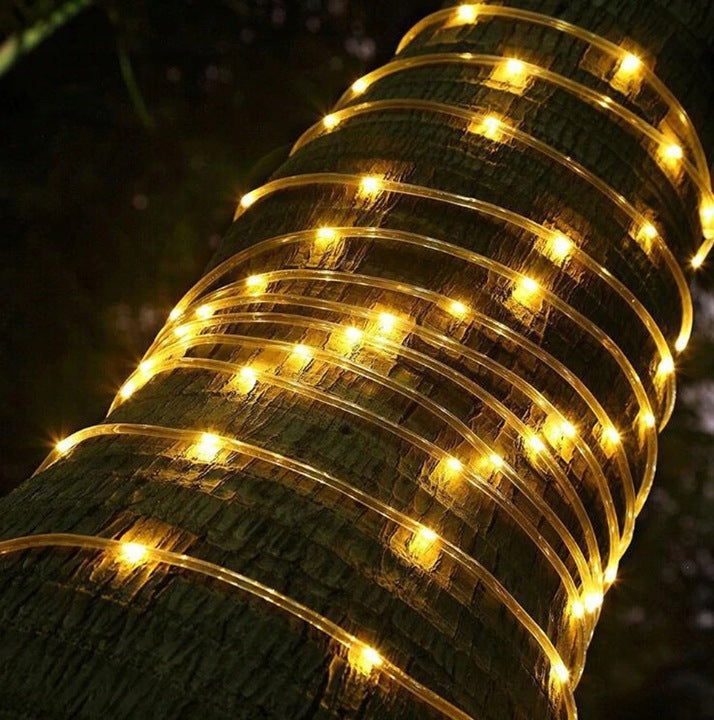 250a5f88ab6e974a4833b140b171e65f 250a5f88ab6e974a4833b140b171e65f